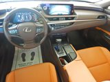 Used 2021 Lexus ES 250 w/ Premium Package image 2