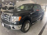 Used 2012 Ford F150 XLT w/ XLT Convenience Pkg image 2