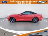 Certified 2017 Ford Mustang Premium image 5