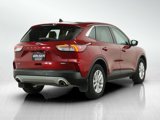 Used 2020 Ford Escape SE image 5
