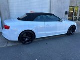 Used 2014 Audi S5 Premium Plus image 6