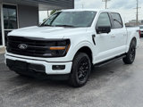 Used 2024 Ford F150 XLT image 4