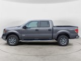 Used 2014 Ford F150 XLT w/ Equipment Group 302A Luxury image 2