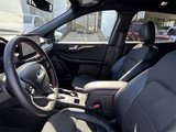 Used 2023 Ford Escape ST-Line Elite image 4