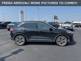 Used 2020 Ford Escape SEL image 6