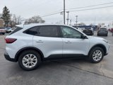 New 2025 Ford Escape Active w/ Cold Weather Package image 6