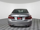 Used 2017 Honda Accord Sport Special Edition image 5