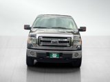 Used 2014 Ford F150 XLT w/ Equipment Group 301A Mid image 2