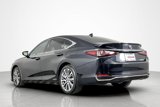 Used 2020 Lexus ES 300h w/ Premium Package image 3