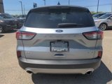 Certified 2022 Ford Escape SEL image 6