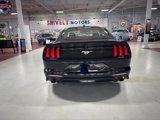 Used 2022 Ford Mustang Coupe image 4