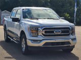 Used 2022 Ford F150 XLT w/ Equipment Group 302A High image 3