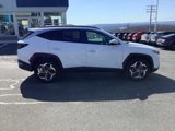 Used 2023 Hyundai Tucson SEL w/ Convenience Package image 3