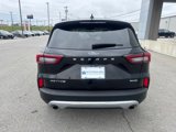 Used 2023 Ford Escape Active w/ Tech Pack #1 image 4