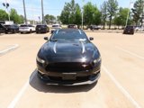 Used 2016 Ford Mustang GT Premium w/ Equipment Group 401A image 4