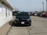 Used 2017 Kia Sedona SX image 5