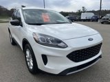 Used 2022 Ford Escape SE w/ Cold Weather Package image 6