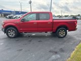 Used 2020 Ford F150 XLT w/ Equipment Group 302A Luxury image 4