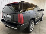 Used 2007 Cadillac Escalade AWD w/ Information Package image 6
