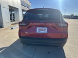 New 2025 Ford Escape ST-Line w/ Tech Pack #1 image 5