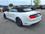 Used 2022 Ford Mustang Premium image 5