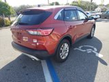 Used 2020 Ford Escape SE image 4