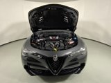 New 2024 Alfa Romeo Stelvio Quadrifoglio w/ Active Assist Plus Package image 6