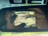 Used 2011 Ford F150 Lariat w/ Lariat Plus Pkg image 3