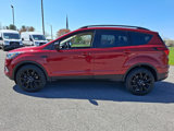 Certified 2019 Ford Escape SE image 4