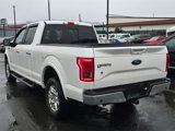 Used 2015 Ford F150 Lariat w/ Equipment Group 502A Luxury image 5