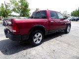 Used 2015 RAM 1500 Outdoorsman image 6