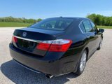 Used 2013 Honda Accord EX-L image 5