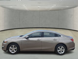 Used 2023 Chevrolet Malibu LT w/ Driver Confidence Package image 2