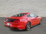 Used 2015 Ford Mustang GT Premium w/ Equipment Group 401A image 4