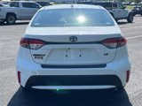 Used 2020 Toyota Corolla LE image 4