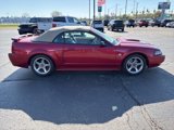 Used 2004 Ford Mustang GT image 6