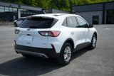 Used 2022 Ford Escape SE w/ Cold Weather Package image 5