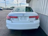 Used 2011 Honda Accord SE image 4