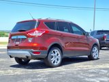 Used 2014 Ford Escape Titanium image 4