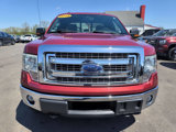 Used 2013 Ford F150 XLT w/ Luxury Equipment Group image 2