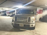 Used 2010 Ford F150 2WD SuperCrew image 2