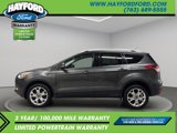 Used 2016 Ford Escape Titanium image 2