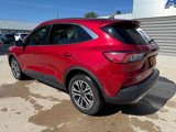 Certified 2022 Ford Escape SEL w/ Technology Package image 4