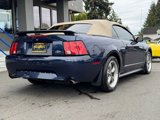 Used 2001 Ford Mustang GT image 5