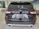 Used 2020 Ford Escape SEL image 4