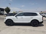 Used 2020 Kia Telluride SX w/ SX Prestige Package image 2
