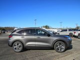 New 2025 Ford Escape ST-Line w/ Cold Weather Package image 3