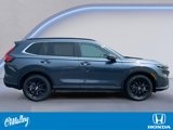 Certified 2024 Honda CR-V Sport image 6