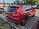 Used 2020 Ford Escape SEL image 4