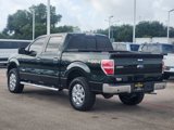 Used 2014 Ford F150 XLT w/ Equipment Group 302A Luxury image 4